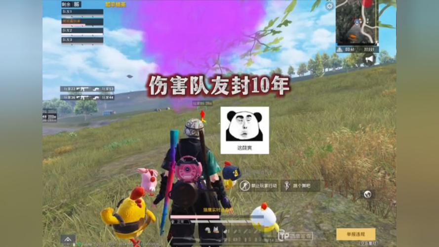 和平精英辅助【DODO】